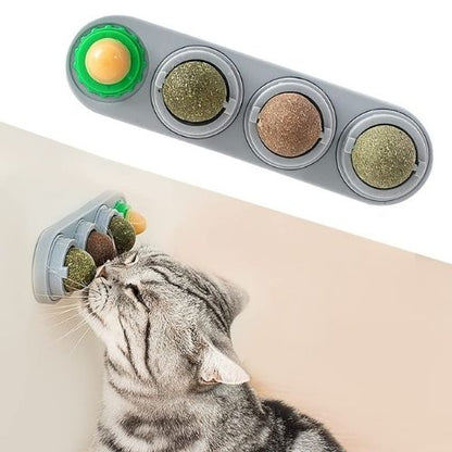 Catnip Wall Ball